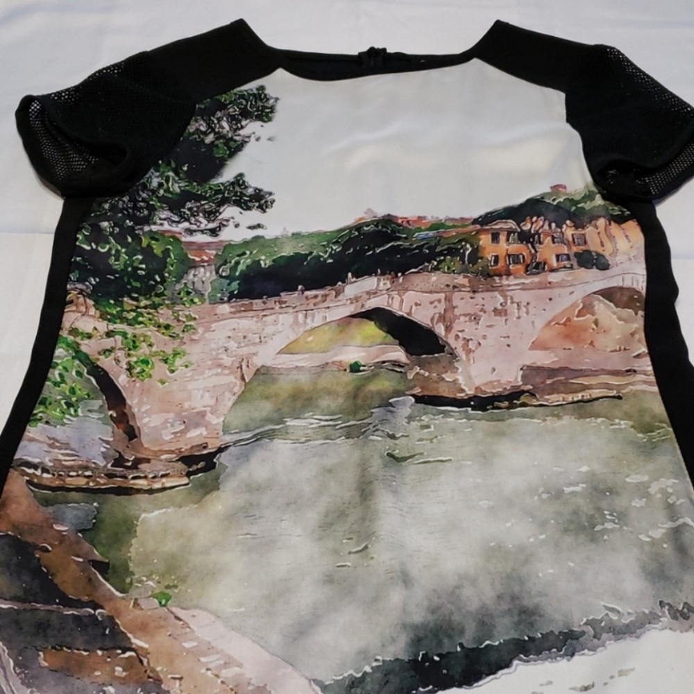 EUC Cartise bridge art painted t-shirt dress